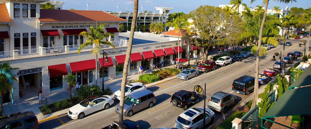 Fifth Avenue South featuring street scenes and a city