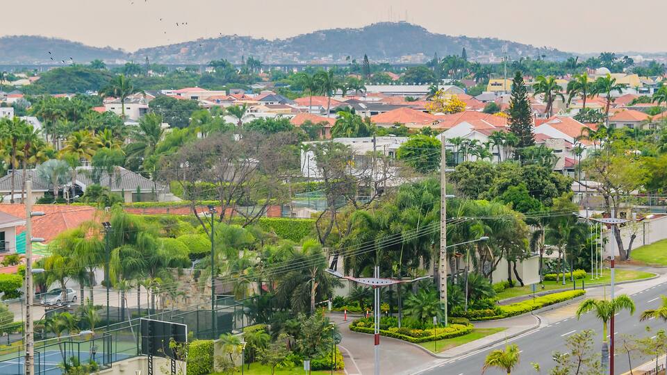 A residential area with houses, palm trees, and a road.