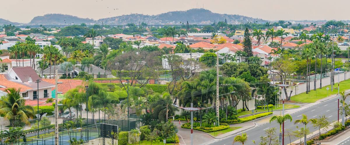 A residential area with houses, palm trees, and a road.