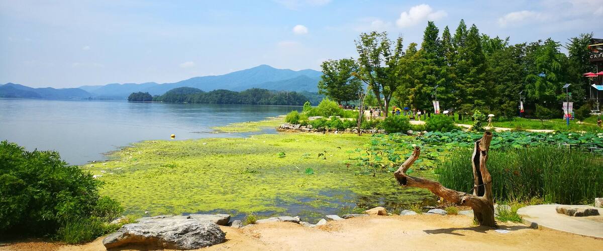 A lakeside park with a dirt path, greenery, and a distant mountain range.