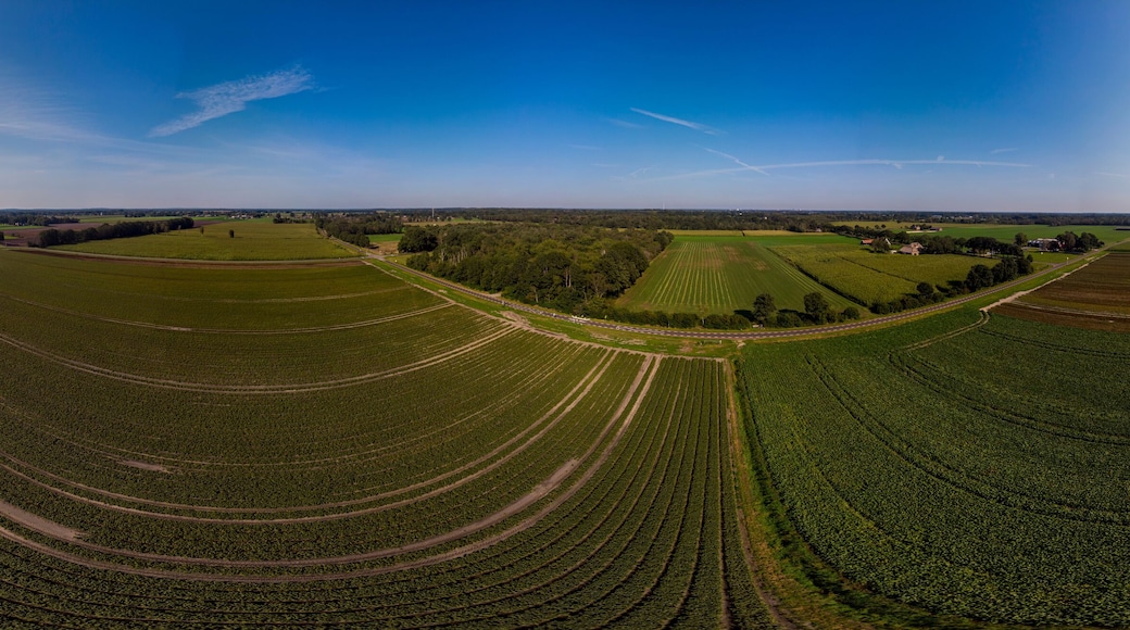 Aerial 360 degrees panorama of Dutch farmland landscape ready for use in 3D environment.
