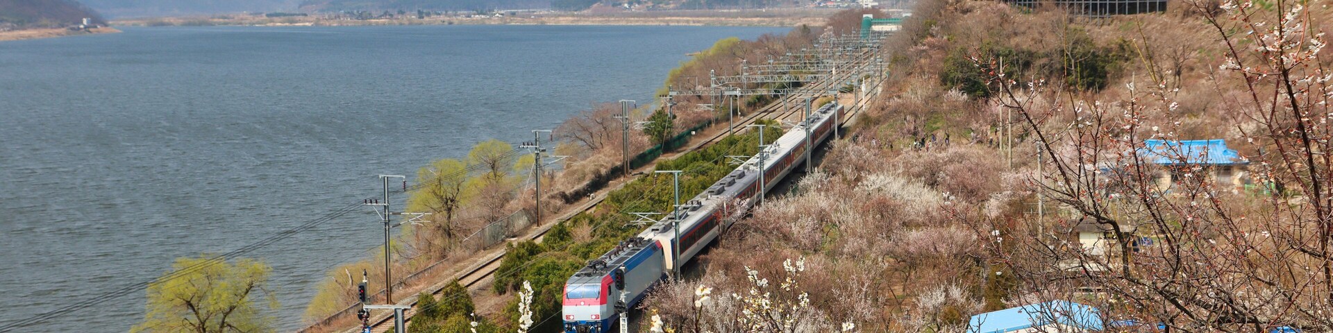 Un tren viaja sobre una vía al lado de un cuerpo de agua, con montañas al fondo.