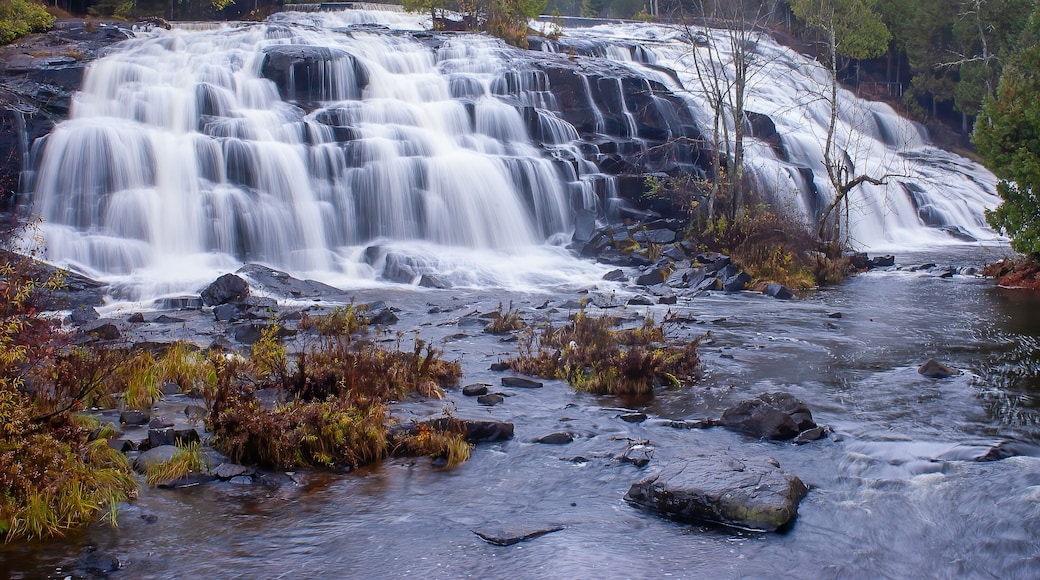 waterfall in autumn forest