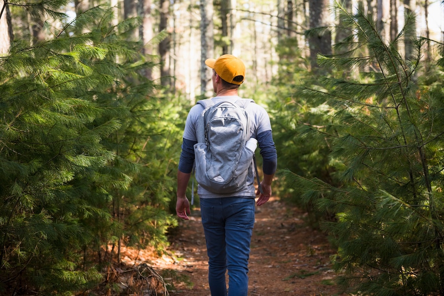 A person walking on a forest path surrounded by pine trees.
