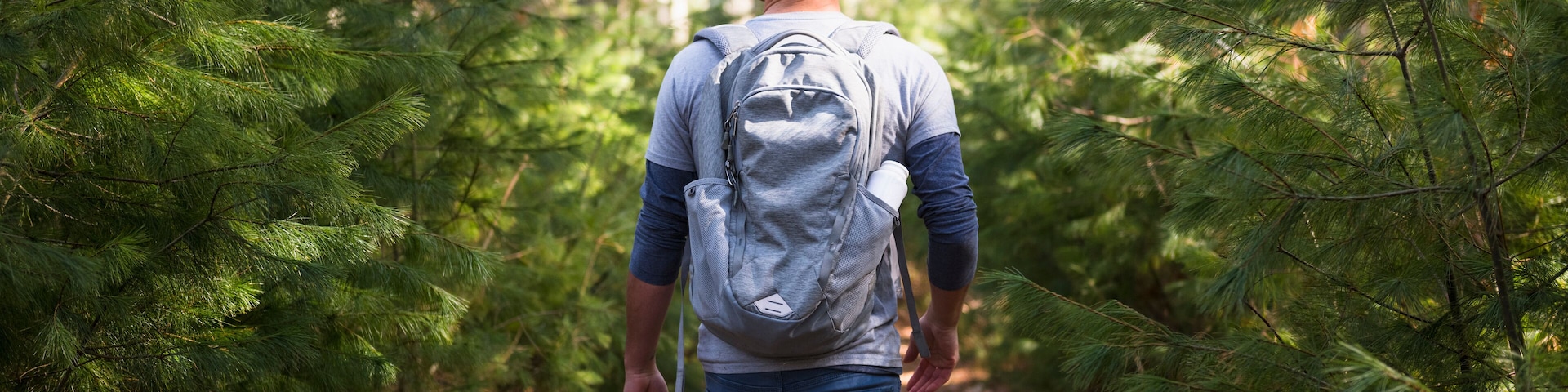A person walking on a forest path surrounded by pine trees.