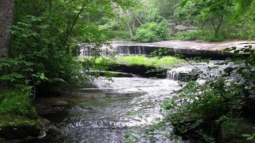 #cinematrove Step stone falls on the Ben Utter Trail. Map location approximate. Seen in the movie, Moonrise Kingdom