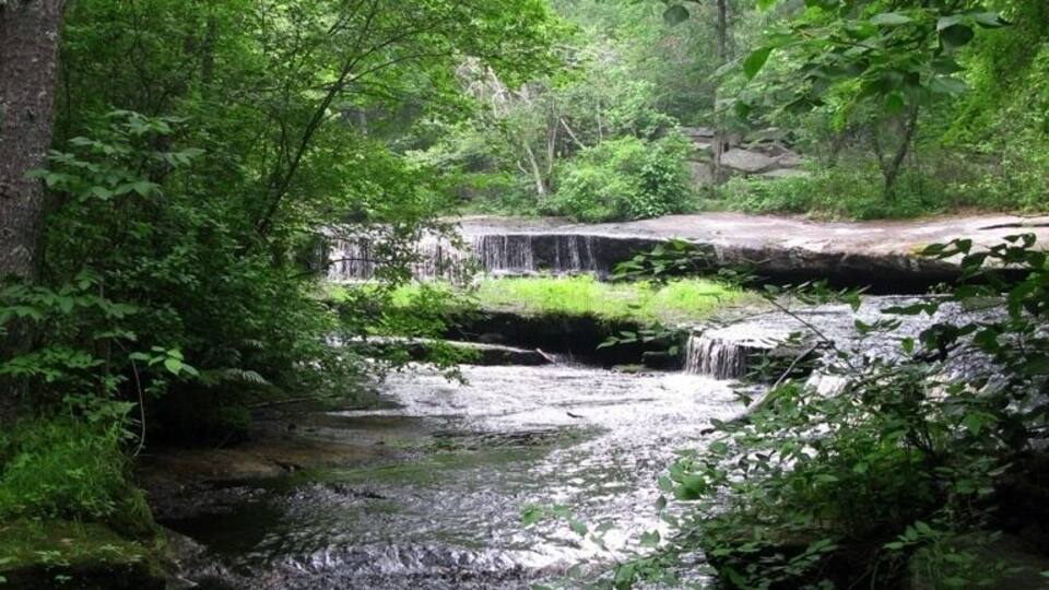 A small waterfall in a lush forest.