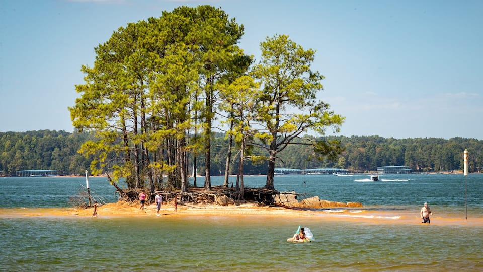 A sandy beach with a group of trees, a pier in the background, and a boat on the water.
