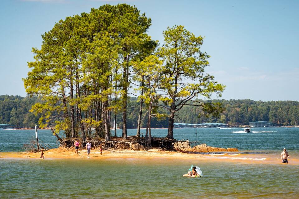 A sandy beach with a group of trees, a pier in the background, and a boat on the water.