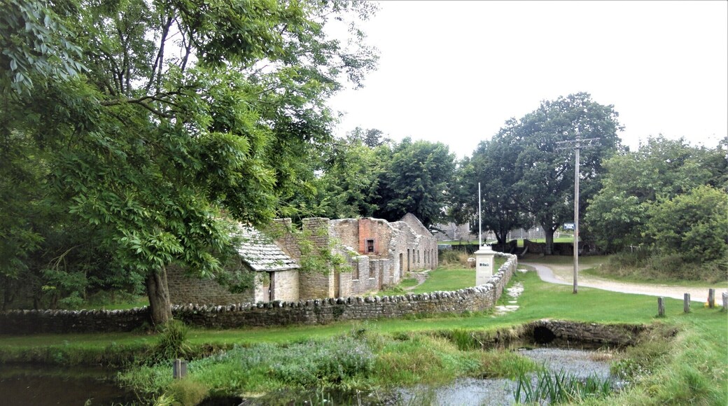 This wonderful little Village was evacuated during the war when it was decided the whole Valley was needed for extra space to do Military training. The evacuations started in 1943. There are the ruins of many houses, a Church, a Rectory and a School.
#LifeatExpedia
#StunningStructures
#TreeTrove
#Architecture #History