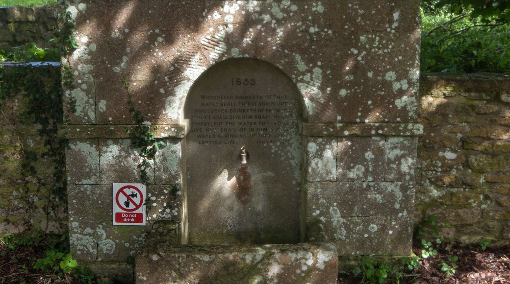 The ghost village of Tyneham,Dorset.
The village was subject to a compulsory purchase order by the Ministry of Defence,
All the residents had to leave, as the site was needed for D Day preparations, never to return.
This is the Church water spout.
#History