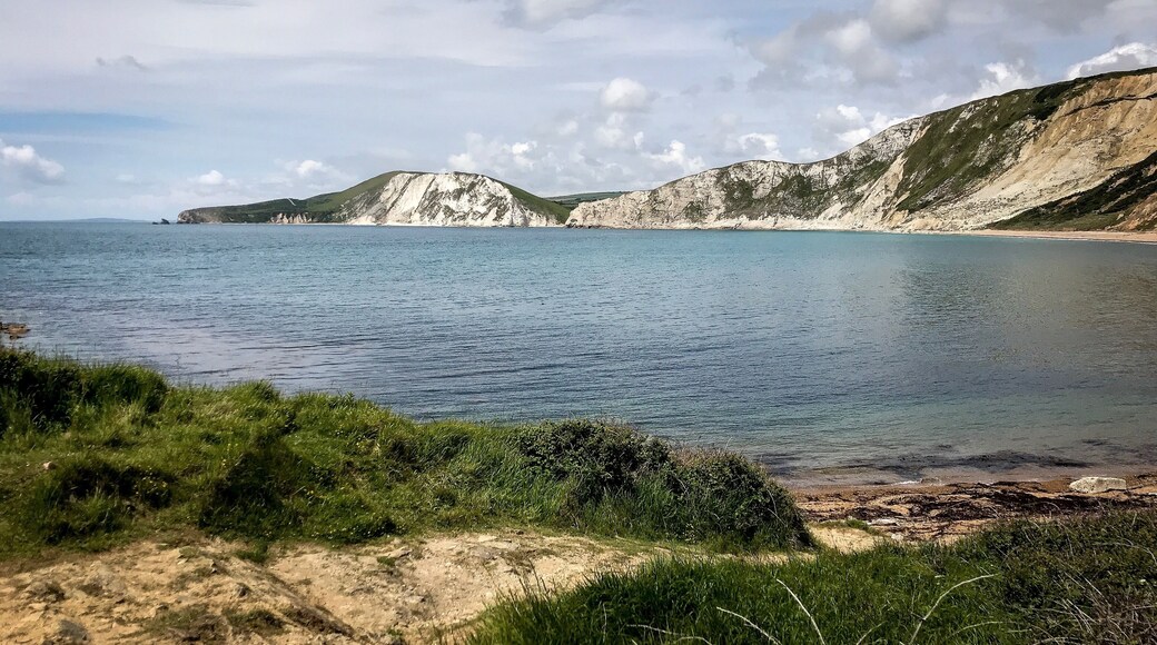 Beautiful spot, a short walk from Tyneham.