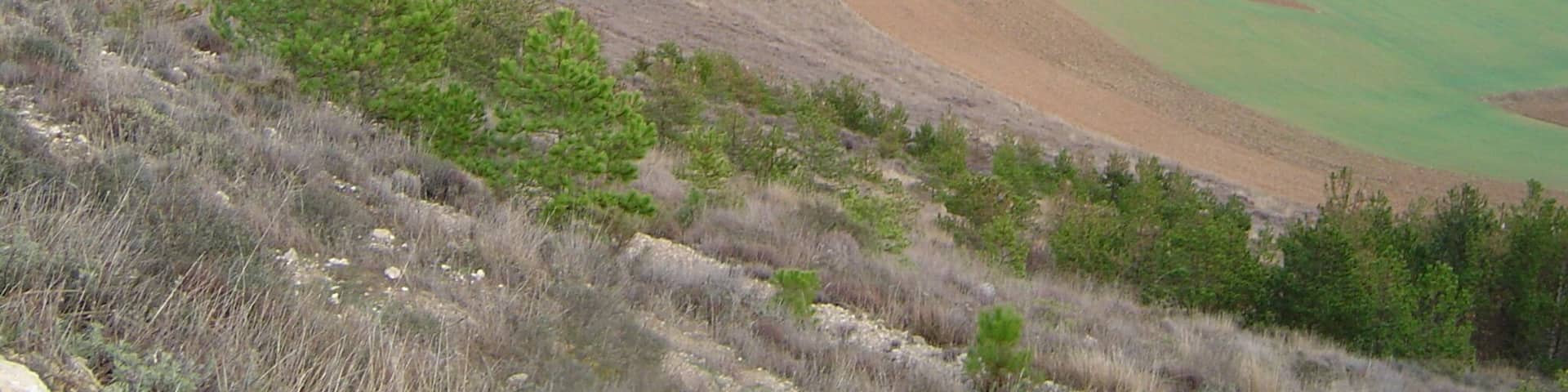 Lloviendo a lo lejos