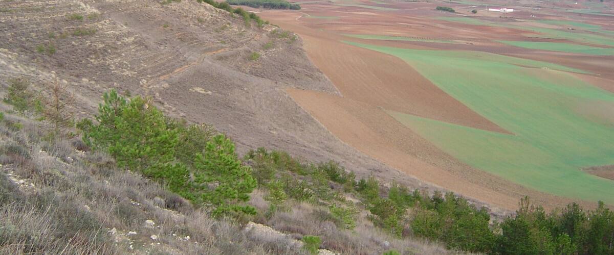 A hilly landscape with patches of green fields and a cloudy sky.