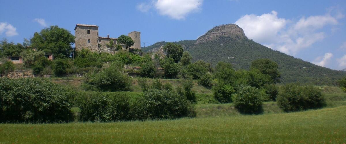 Castell de l'Espunyola (maig 2011)