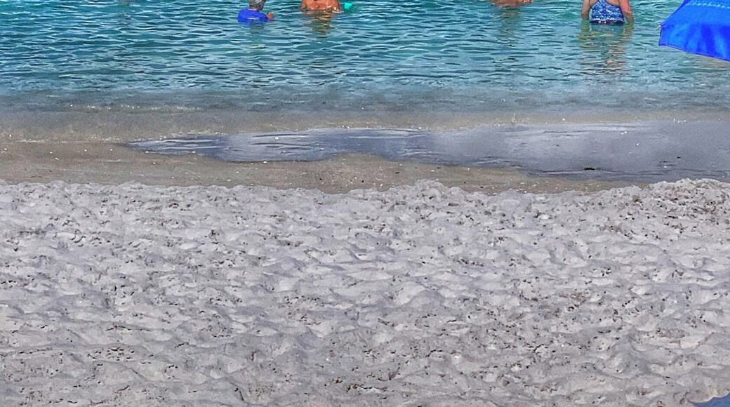 Sunday at Seagate Beach