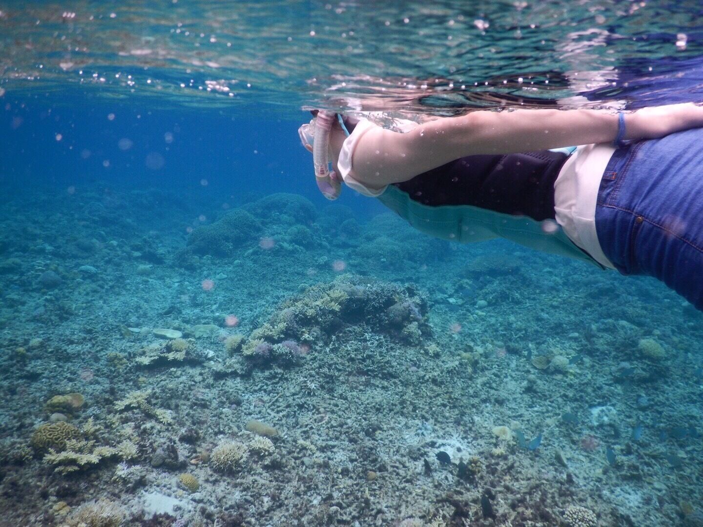 Crystal clear water in hidden gem, Zamami, where you will find beautiful coral field full of lives
#ExpediaCares