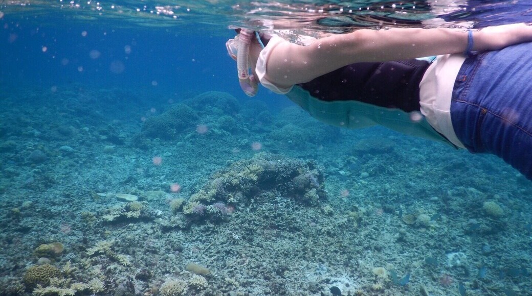 Crystal clear water in hidden gem, Zamami, where you will find beautiful coral field full of lives
#ExpediaCares