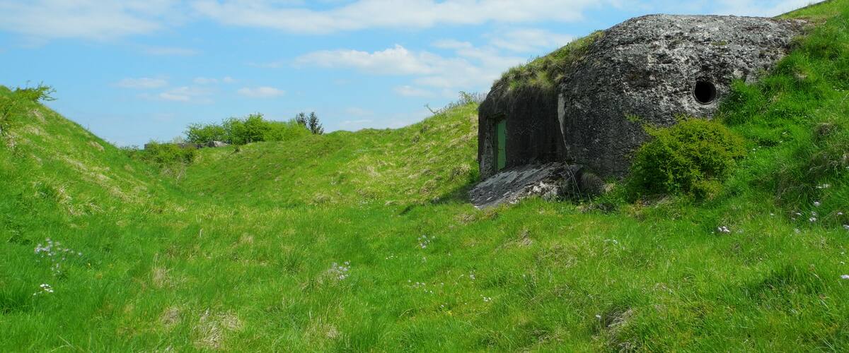 This file was uploaded with Commonist. Fort de Meroux : dans la rue du rempart (HDR).