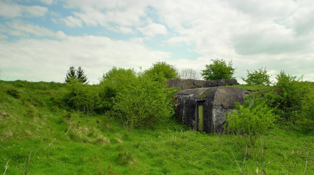This file was uploaded with Commonist. Fort de Meroux : à proximité d'un abri-traverse en béton (HDR).
