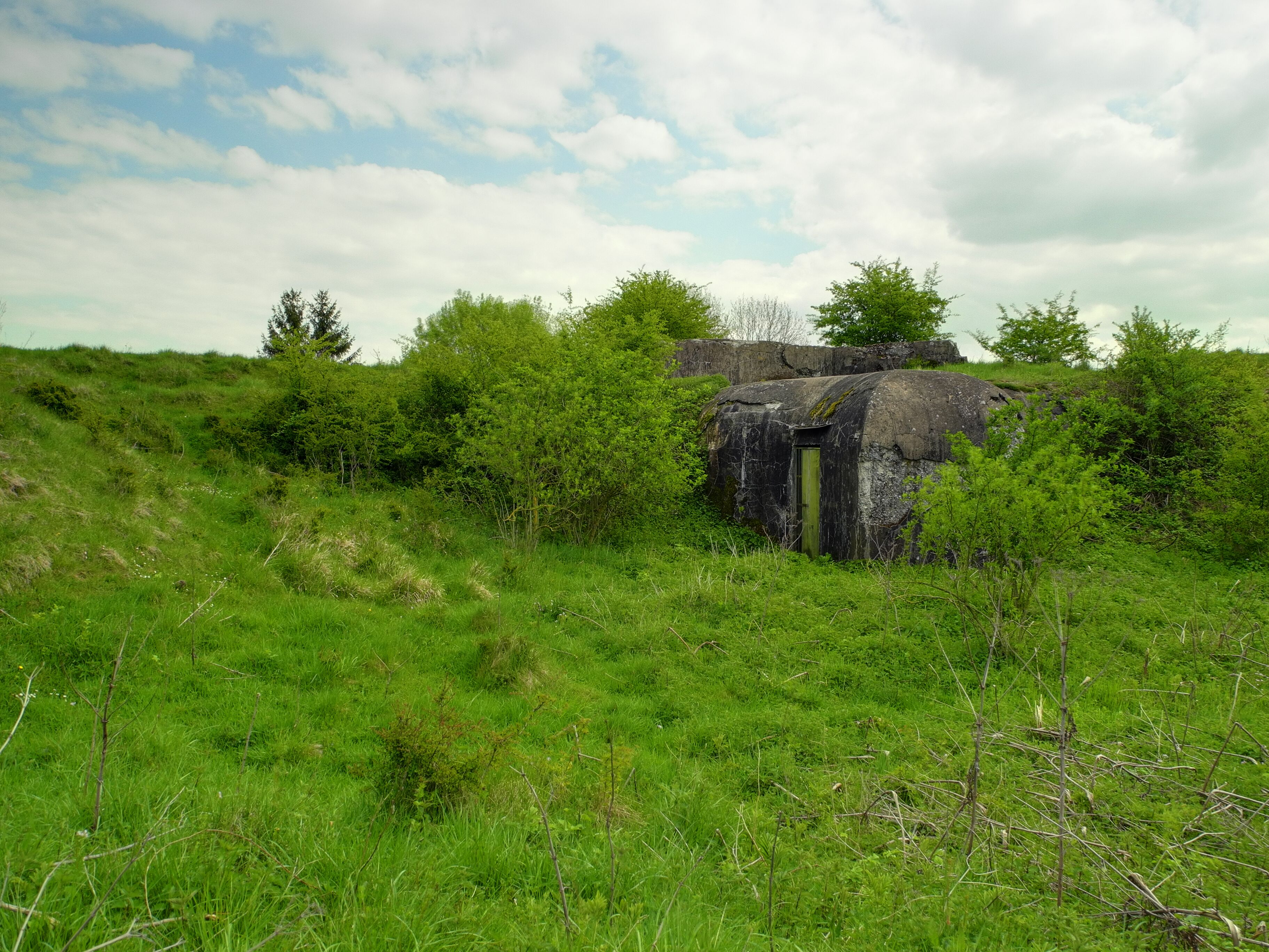 A stone structure in a grassy field with trees in the background.