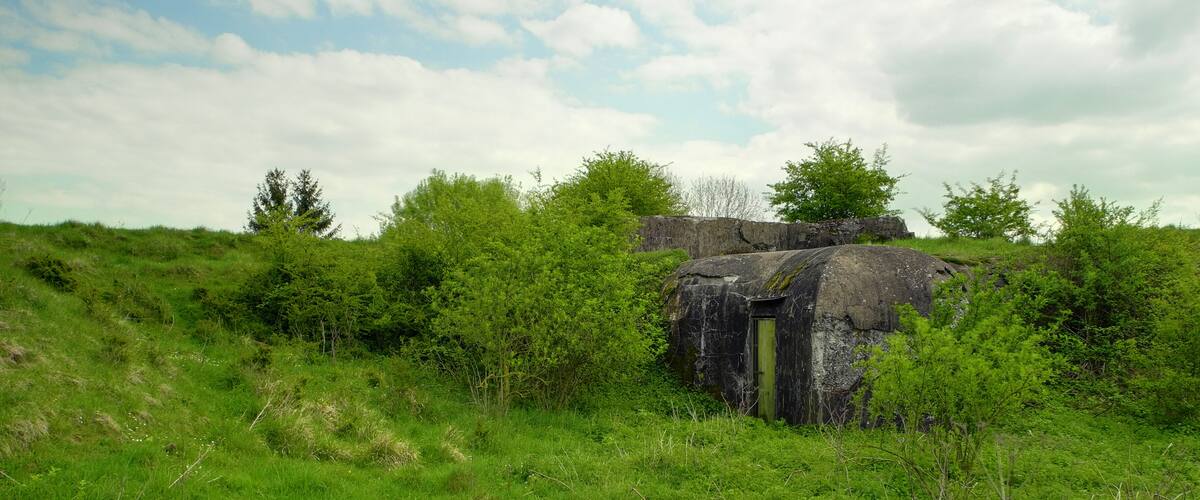 A stone structure in a grassy field with trees in the background.
