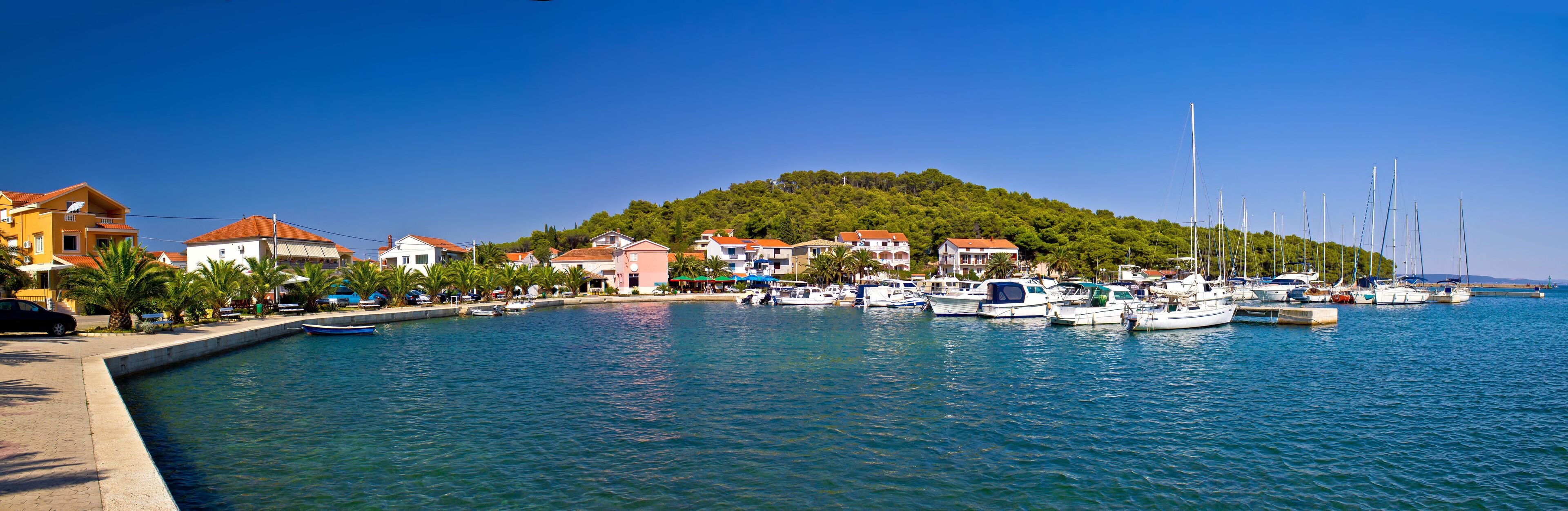 A marina with boats, a hill with trees, and houses with red roofs.