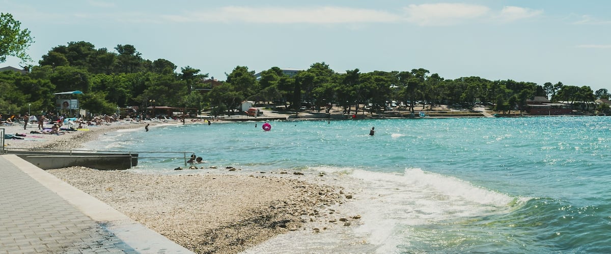 A beach with pebbles, a pathway, and a row of trees.