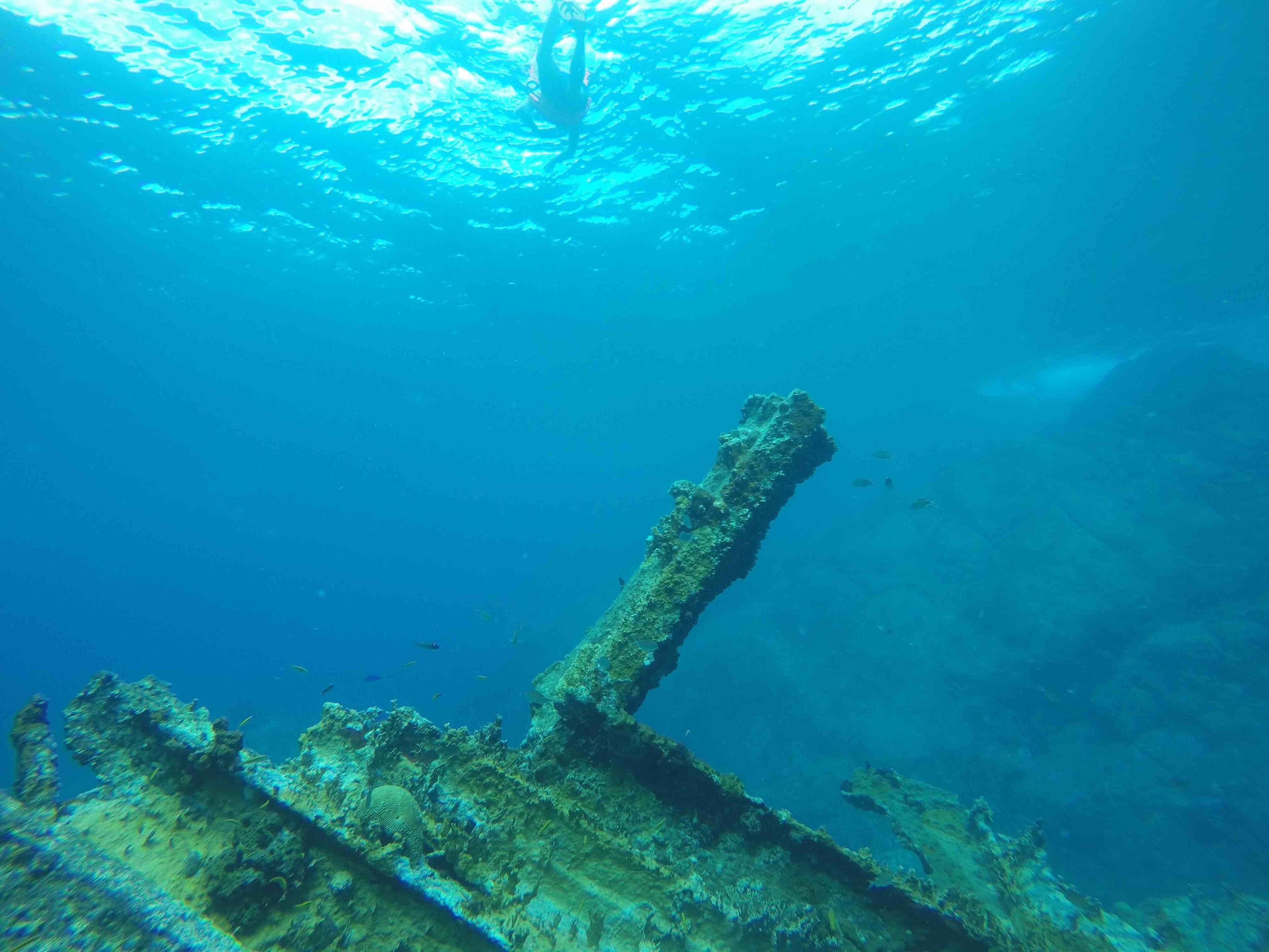 Cool shipwreck to swim down to. All the dive shops will go here. Just off of salt island.  Need an air tank to explore all the nooks and crannies ;)