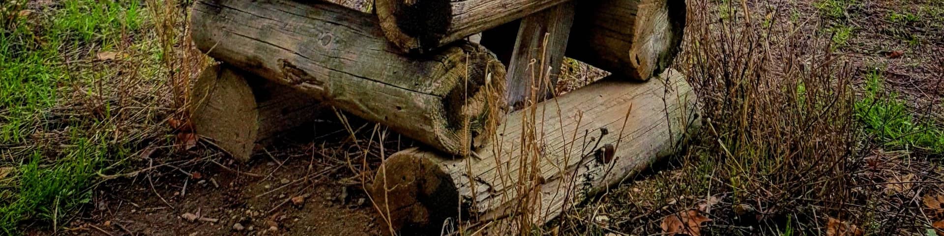 Rustic Chair
#swingpiano #nature #nature2019 #forest #walker #trekking #senderismodemontaña #senderismo #ontheroad #nature