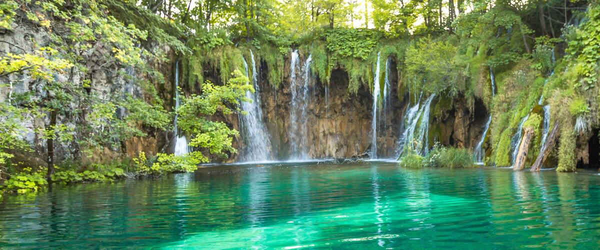 A waterfall cascading into a clear turquoise pool surrounded by lush greenery.