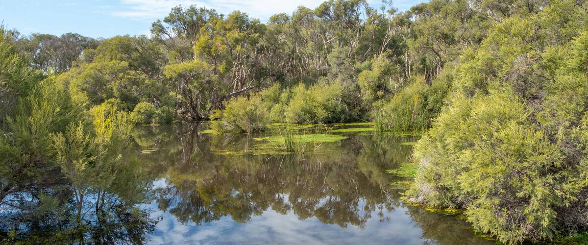 Herdsman Lake in Perth