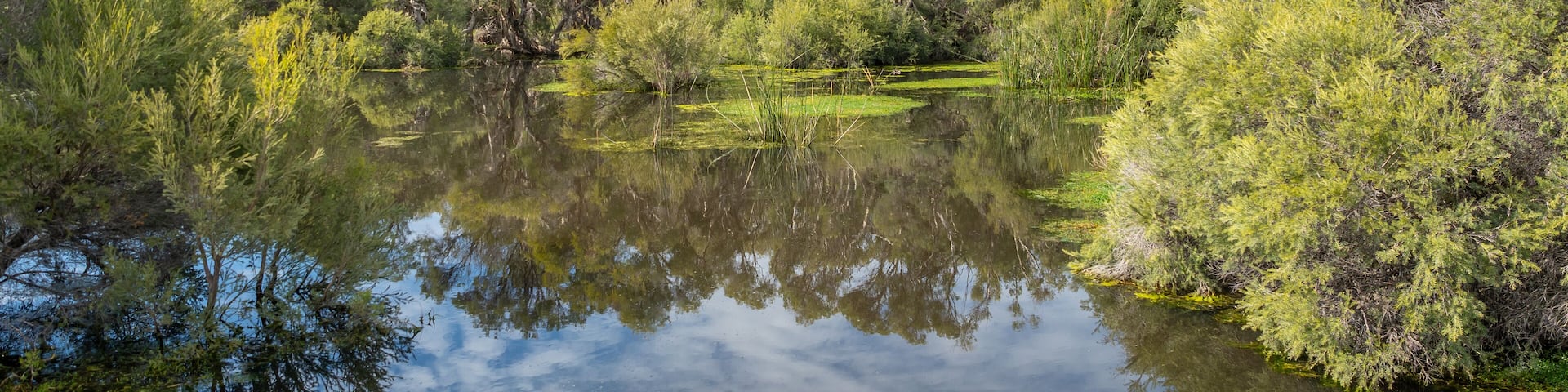 Herdsman Lake in Perth