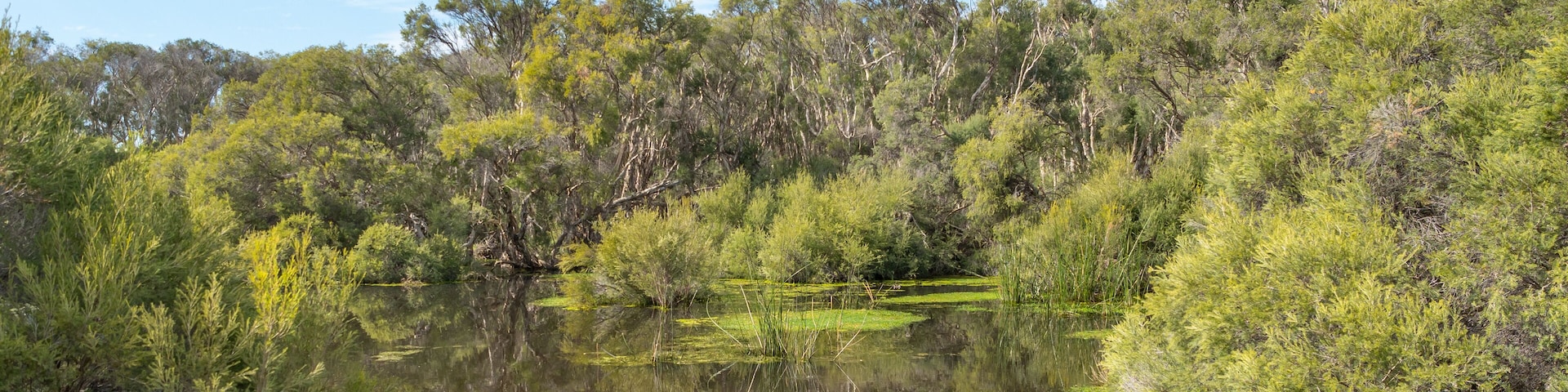 Herdsman Lake in Perth