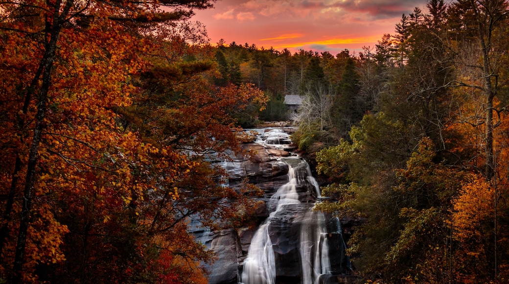 Een waterval stort neer door een bos met herfstkleuren.
