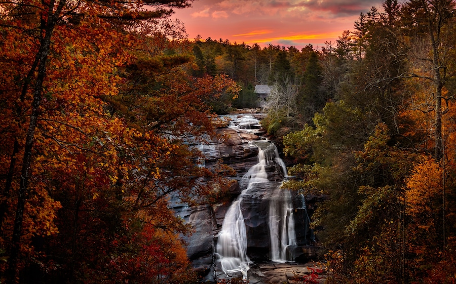 Une cascade d’eau qui dévale à travers une forêt aux couleurs automnales.
