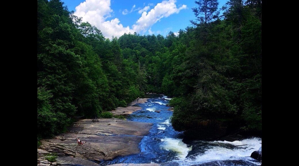 The many beautiful waterfalls that can be enjoyed in the DuPont State Forest 😍💚🌊