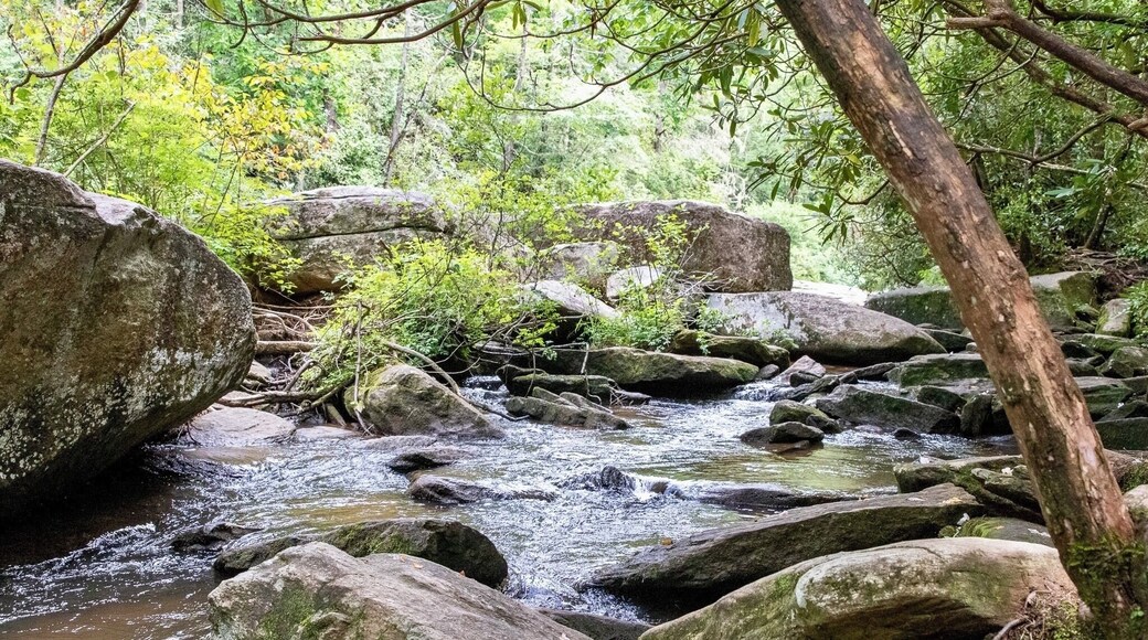 Near Triple Falls, 1 of 3 waterfalls on this hike. Beautiful state forest.