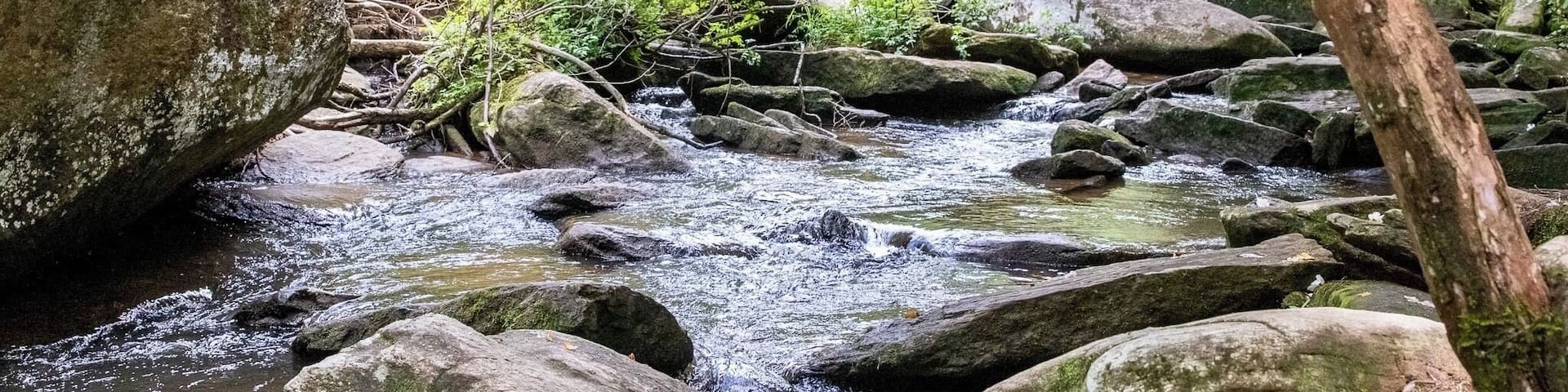 Near Triple Falls, 1 of 3 waterfalls on this hike. Beautiful state forest.
