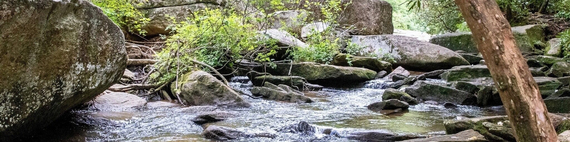 Near Triple Falls, 1 of 3 waterfalls on this hike. Beautiful state forest.
