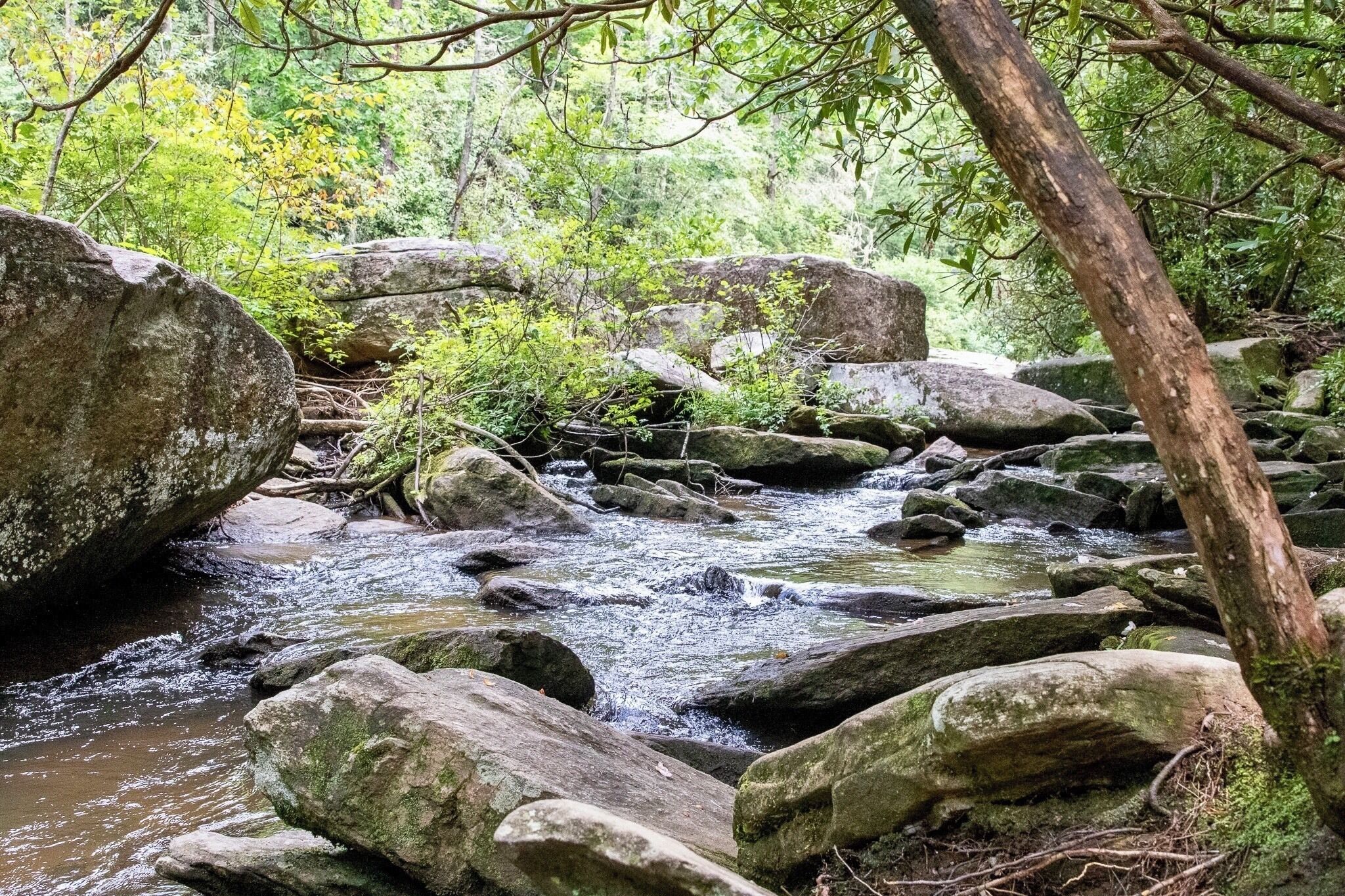 A rocky stream with large boulders and dense greenery.