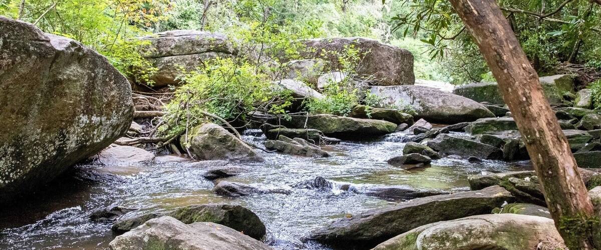 A rocky stream with large boulders and dense greenery.
