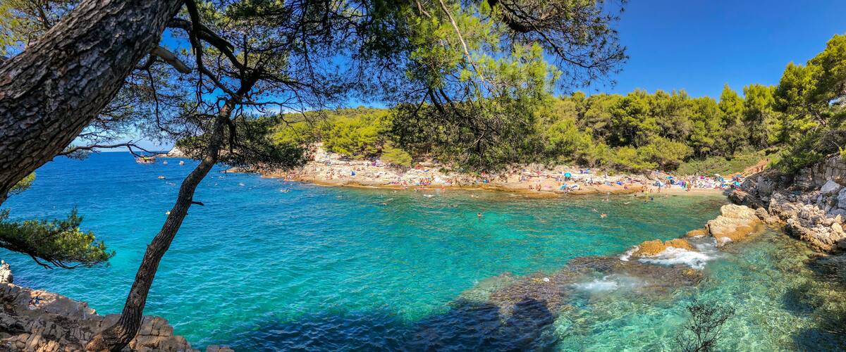A coastal area with clear turquoise waters, rocky shores, and dense pine trees.