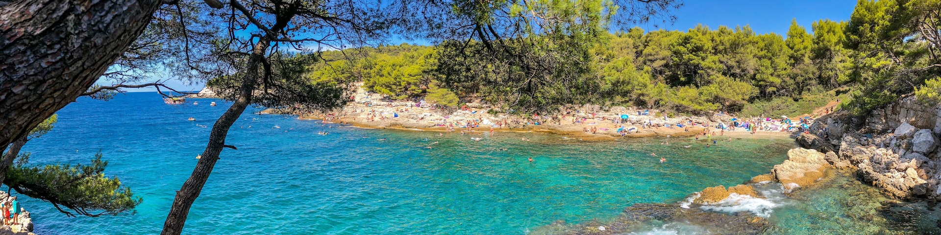 A coastal area with clear turquoise waters, rocky shores, and dense pine trees.