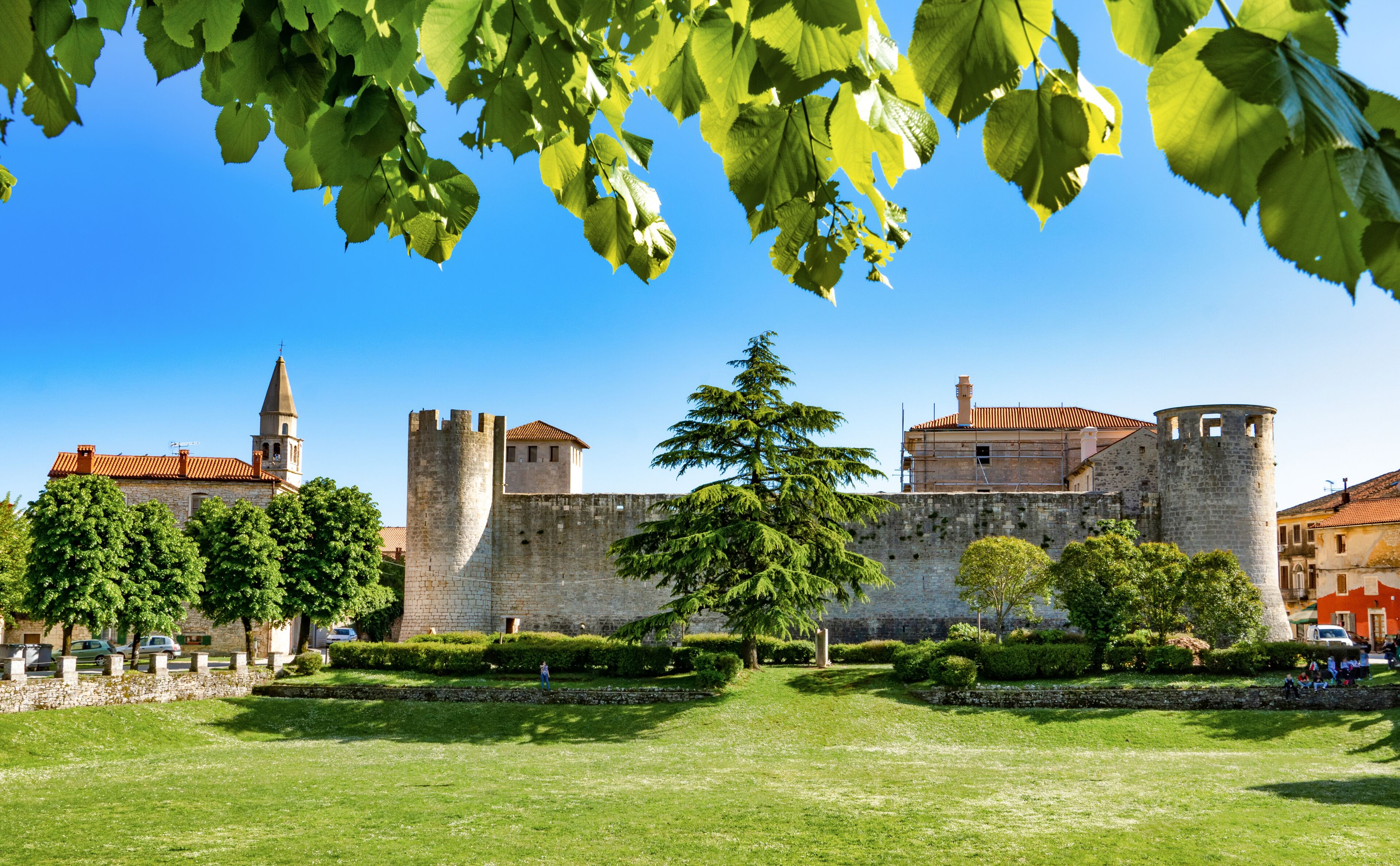 斯维特温彻纳特