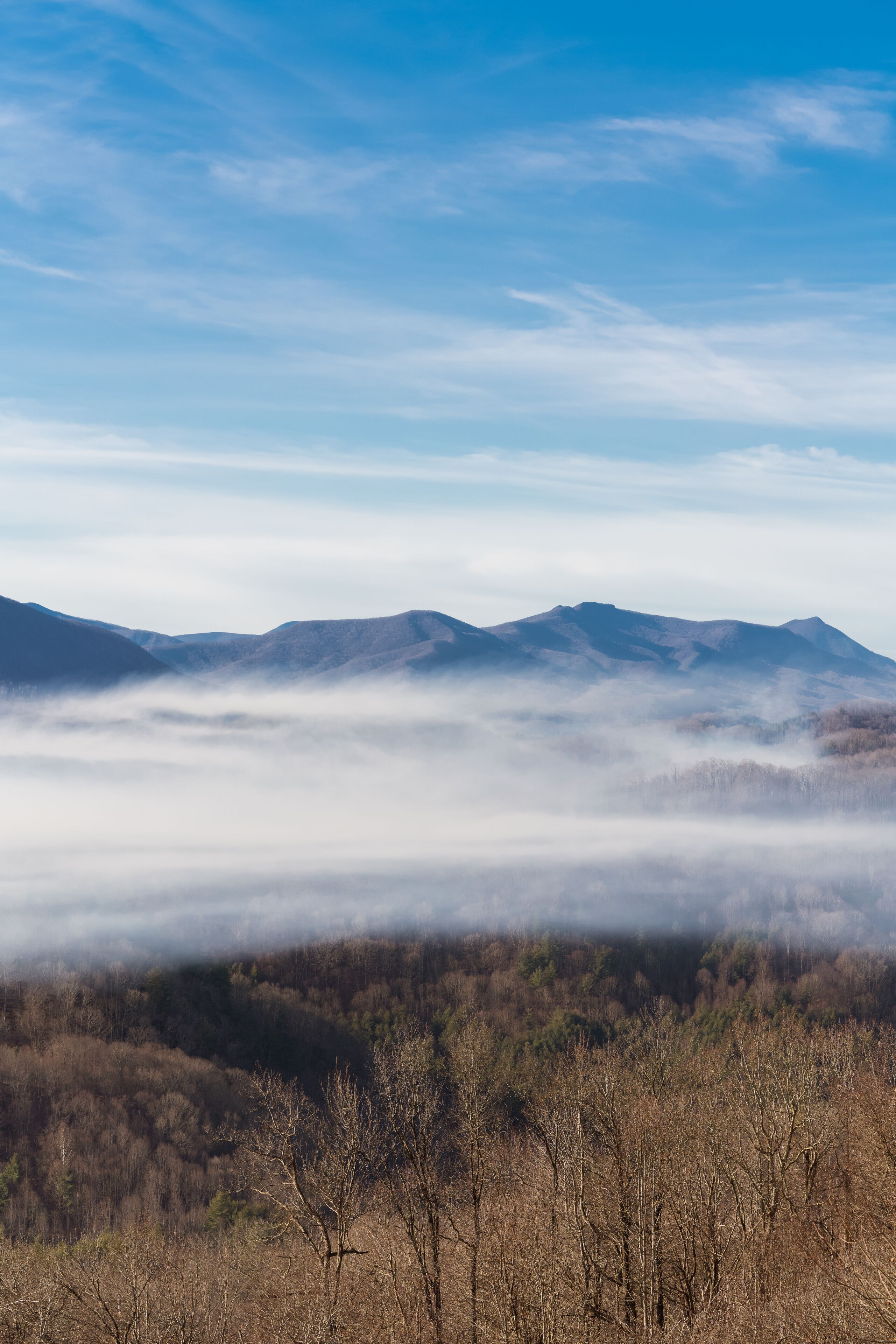 Foggy Sunrise on Crumpler Mountain 