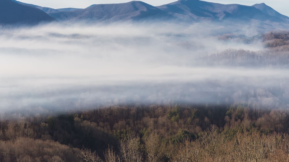 Foggy Sunrise on Crumpler Mountain