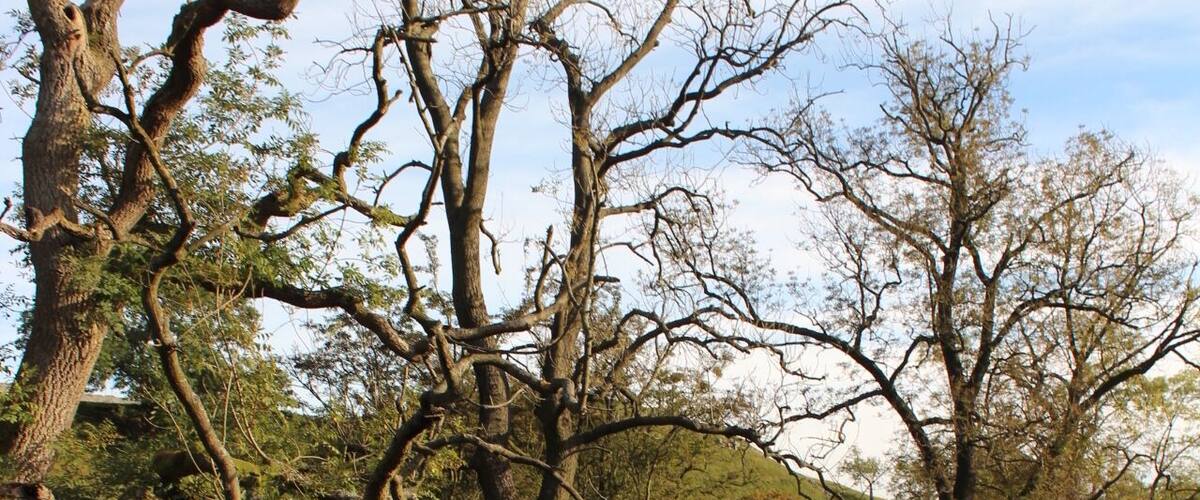 Yorkshire Dates National Park is the closest #NationalPark where I went on my study abroad at the University of Leeds. I went #hiking here with two Germans I met in my hall who became my good friends. We spent the whole day there. We walk along the streams, a path that leads two streams, along dry-stone walls, sheep, and limestone. The was this old man we met who pointed to us that there's a hidden falls where most tourist would not see because they'd stop at the first one, look at it and then move on the hike. We managed to get to the Carboniferous limestone area that gives a breathtaking look of the dales.