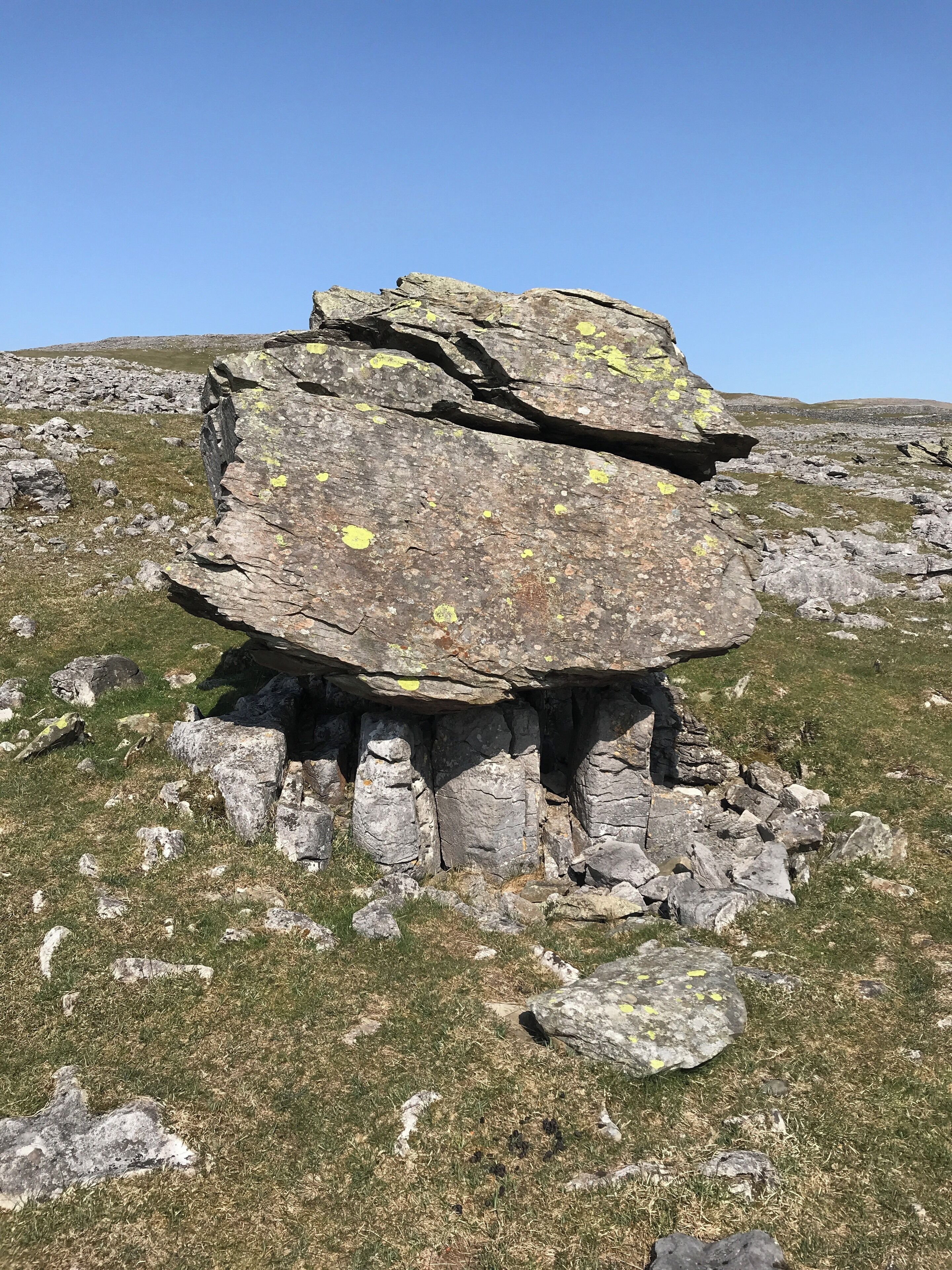 Norber erratics. Boulders brought on the ice sheets and deposited on the limestone.