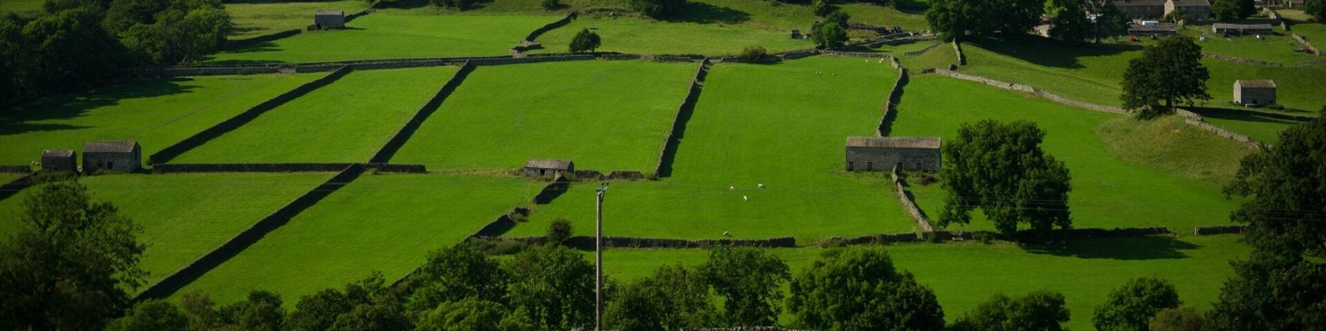 A rural landscape with terraced fields, stone walls, and scattered buildings.